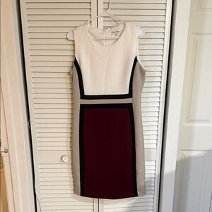 Calvin Klein Cream and Burgundy Mini Dress